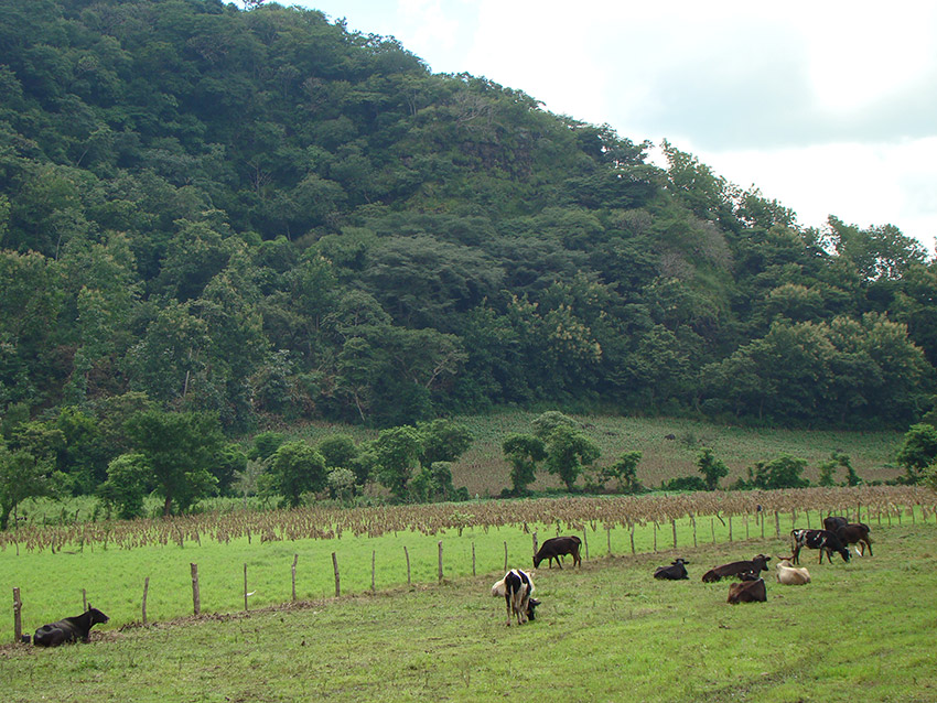 el-salvador4 el-salvador4