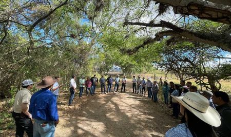 CATIE impulsa formación de facilitadores para promover ganadería sostenible en Honduras